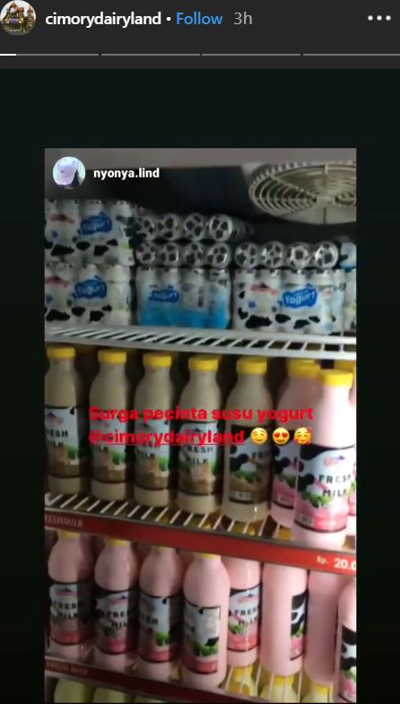 Ilutrasi Dairy Shop di Cimory Dairyland Prigen