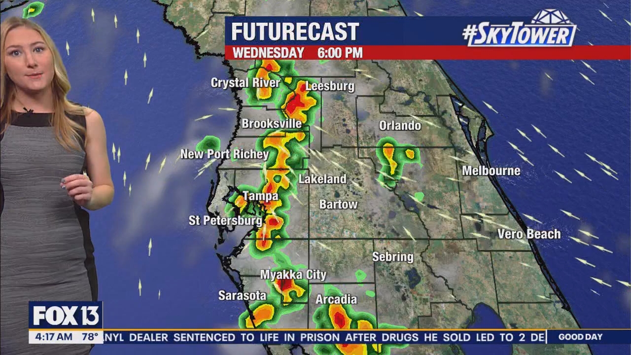 FOX13s Good Day Tampa Bay at 400am_20240724_09000930.ts_snapshot_18.48.680