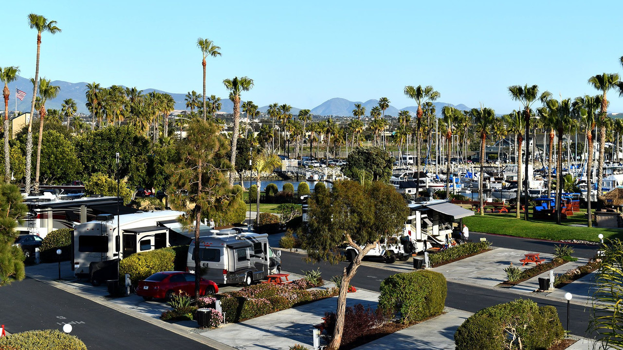 Detectan el primer caso de Hantavirus del 2022