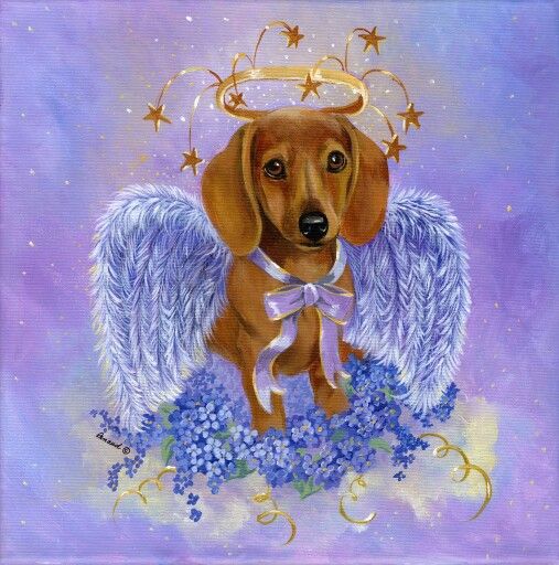 [Image: mort-teckel-dans-le-mauve.jpg]