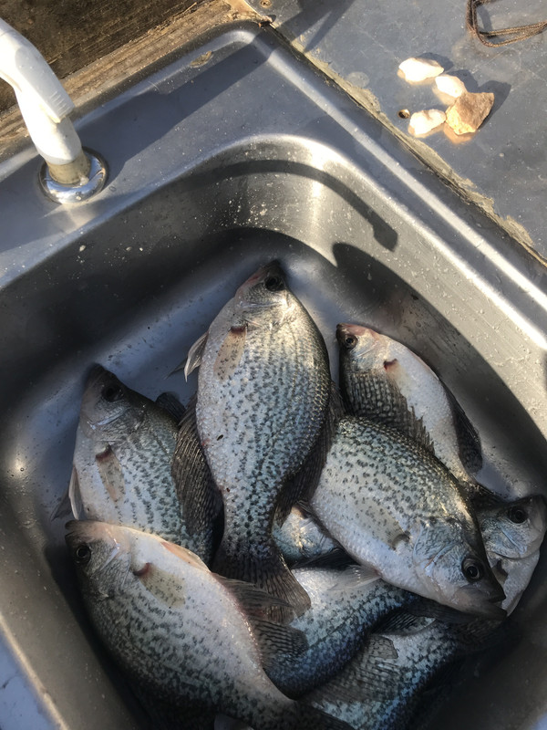 EC3B4213-FEB8-41A5-8C86-60C1E73EDBC5