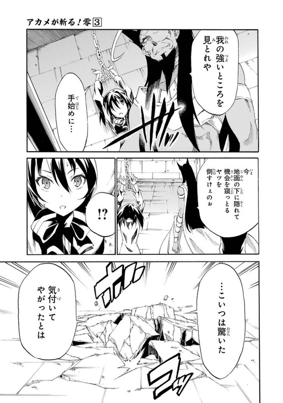 Akame ga Kill! ZeroVol3-23