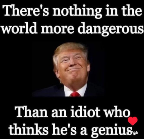 There is no more dangerous in the world than an idiot who think