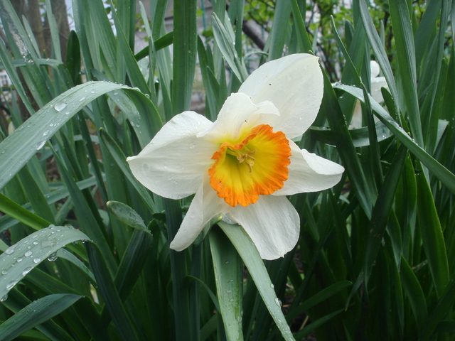 DSC00002
