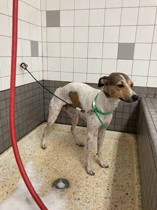 AF744A31-4EAA-4914-AF64-0F1239CBC9FB