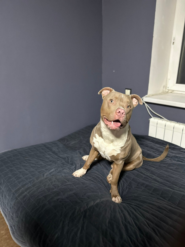 7BB569ED-98D2-46DC-ADDB-1CC7B981E3ED