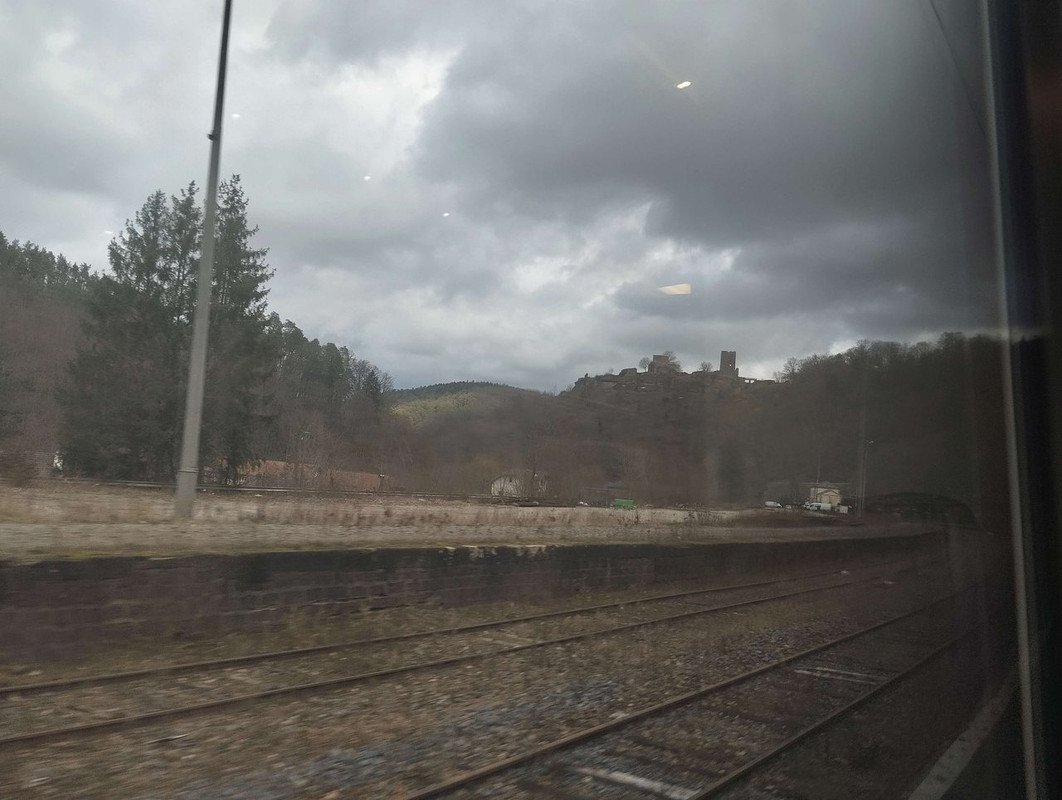 IMG_20240211_125247_1