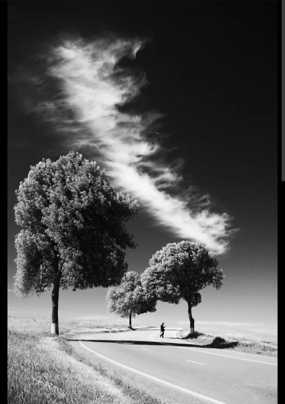 Screenshot_20221124-162417_Chrome