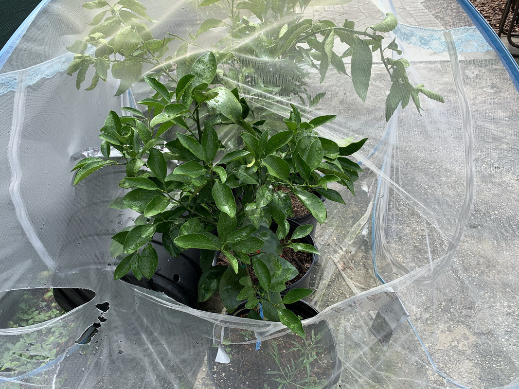 2049D011-3997-4AB2-A645-B6696011D3DB