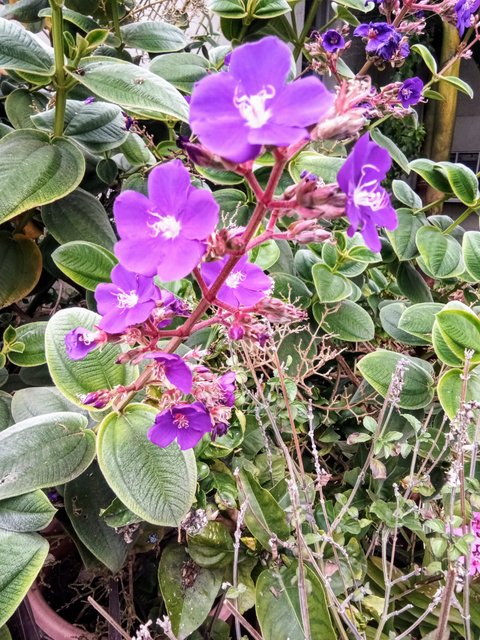 [Image: IMG-20250130-113451-2.jpg]