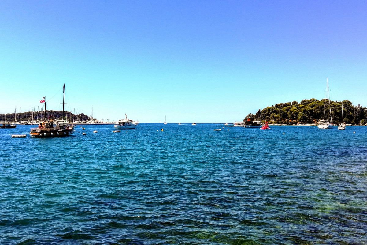 IMG_20220731_113707 (4)