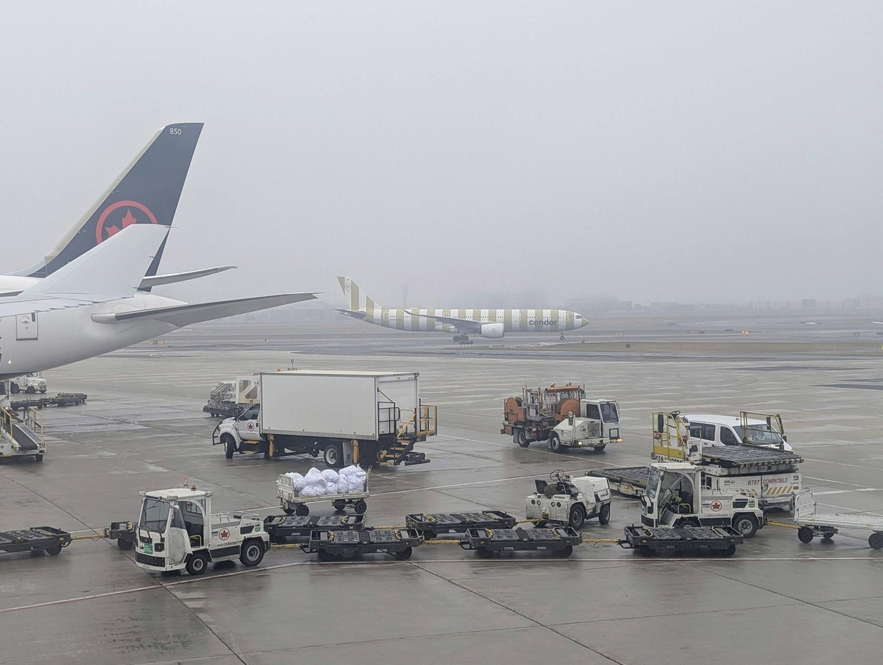 643910057 25635052812861014 6350626479268770495 n