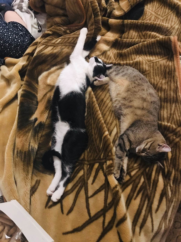 IMG-f2ae5bf79ba5b1e1b4c26a51669b5aa6-V