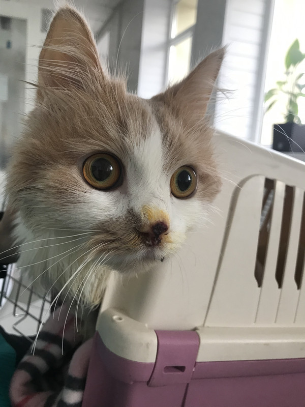 A6F823FE-7697-44F5-92CC-AAB64E1123A1