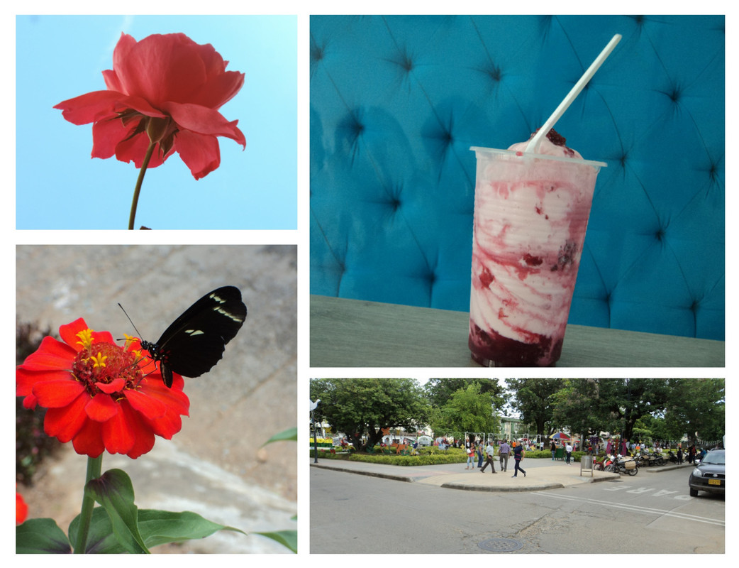 Henry-ortiz-utima-Flores-helado-calle
