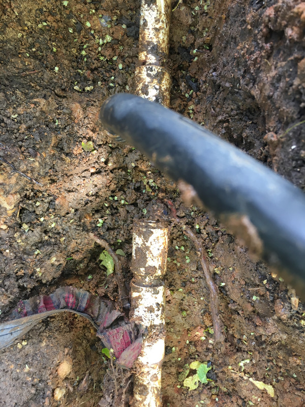 A30E5CAA-5576-4891-AFFE-AC7AF1A24812