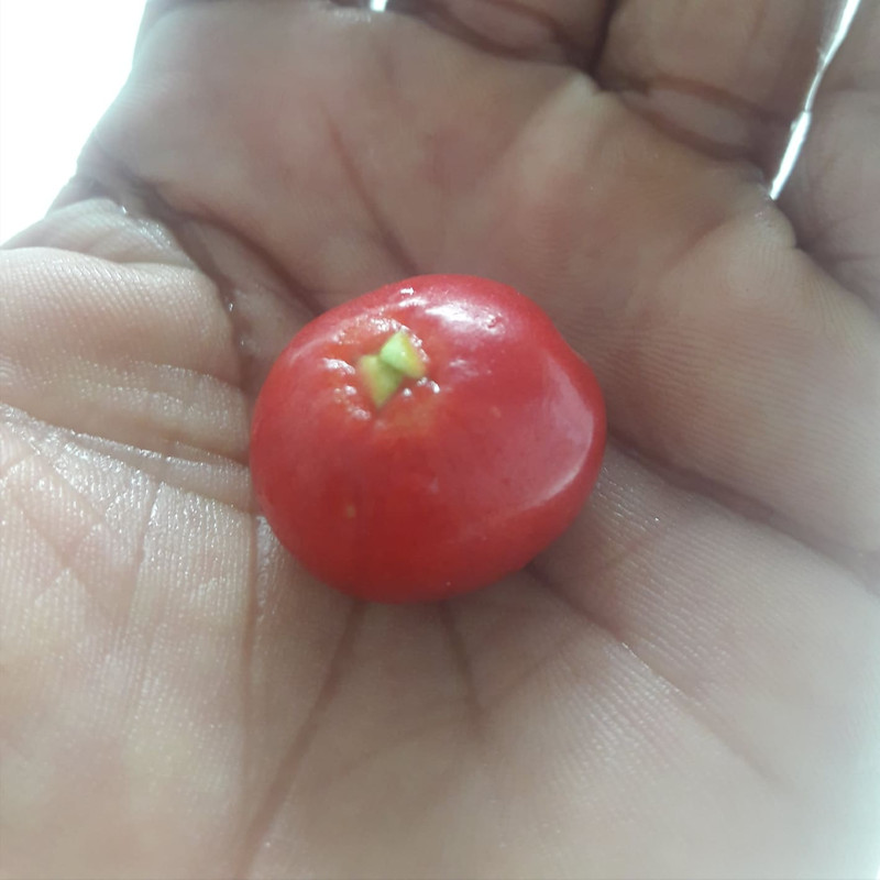 30724552_1069429393196949_8333457862550355968_n