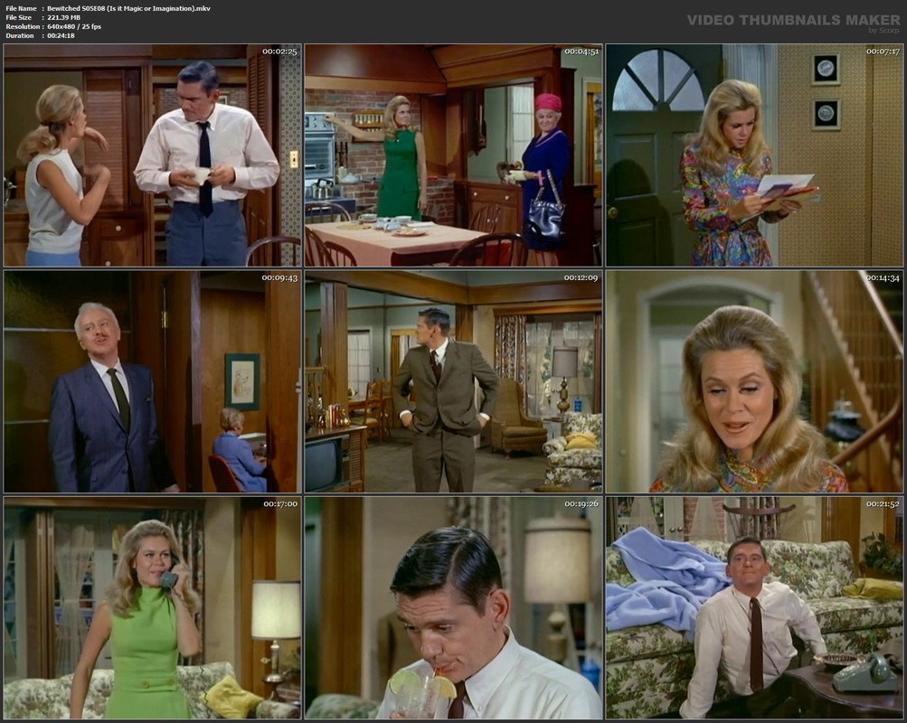 Bewitched S05E08 (Is it Magic or Imagination).mkv