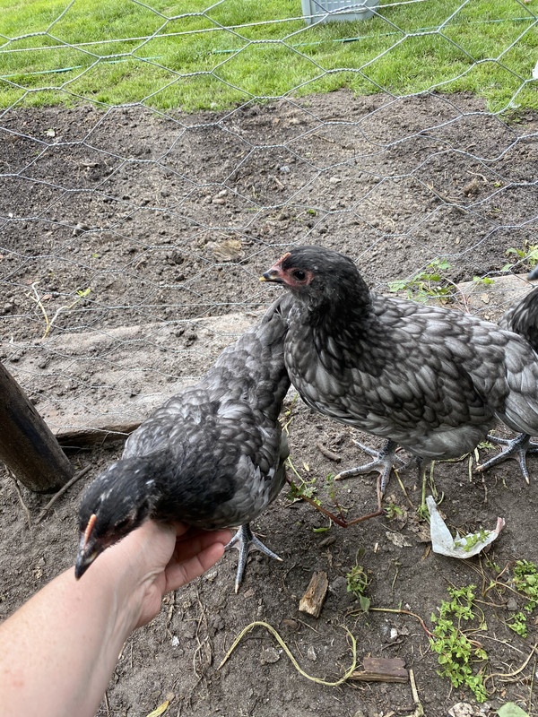 BE692B64-AEE0-48D2-B6FF-B3C4EE5943E0