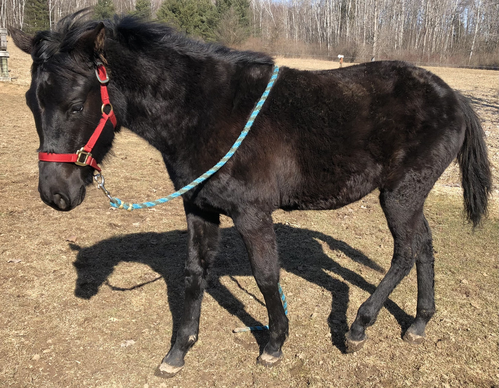 AC1D8C96-4F07-4DF1-879F-7F63E3A81803