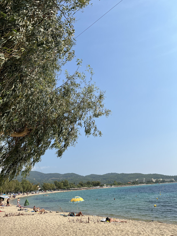 64B8196B-AF2F-4BFA-9755-0DACE54FCF14