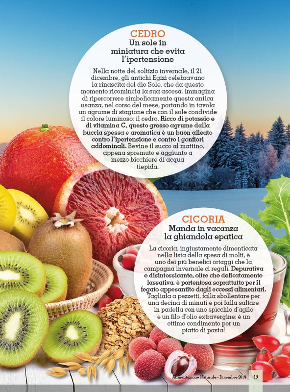 Alim Nat Dic 2019 (2)