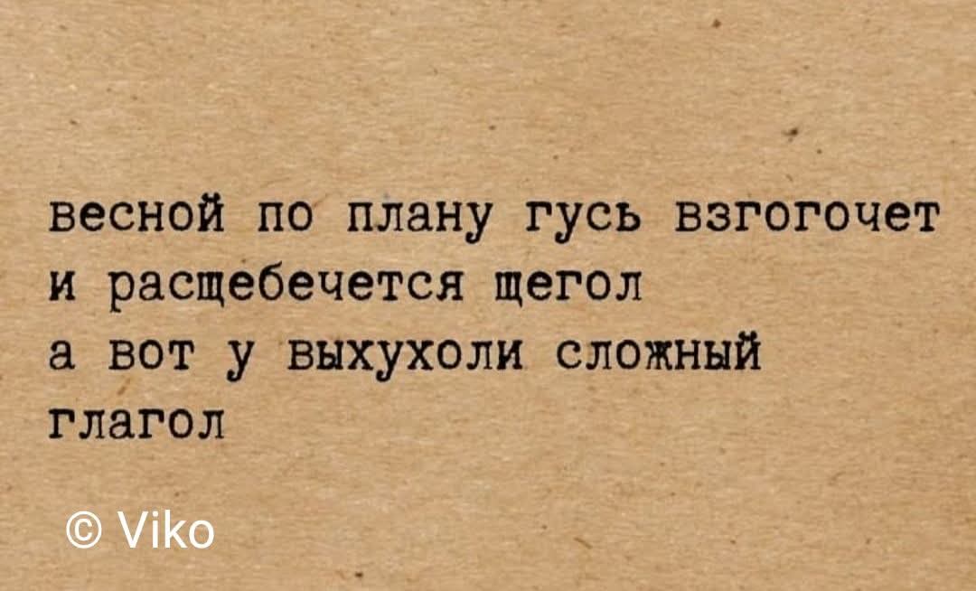 FB IMG 1775471913019