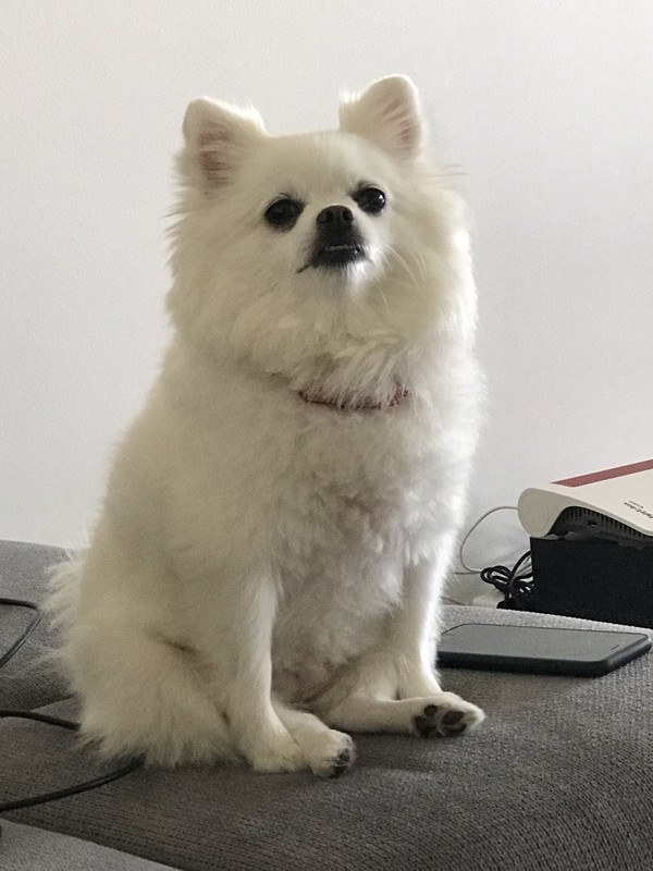 BAF60293-0766-43A5-9D5E-54C9B3EF93A2