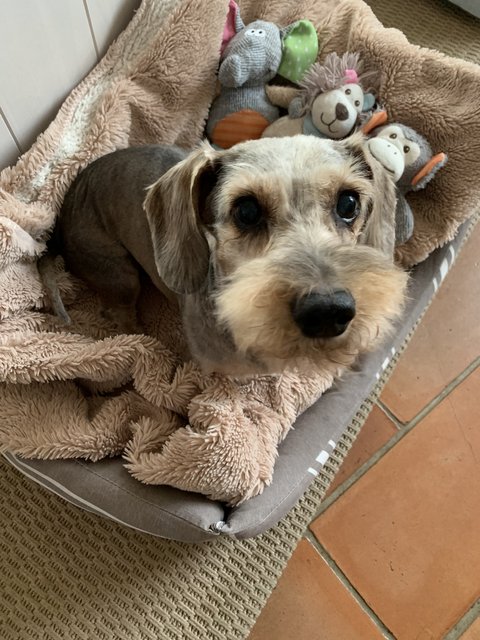 [Image: 2-DFBD94-C-5-E28-4-CEA-B13-D-C2472625894-A.jpg]