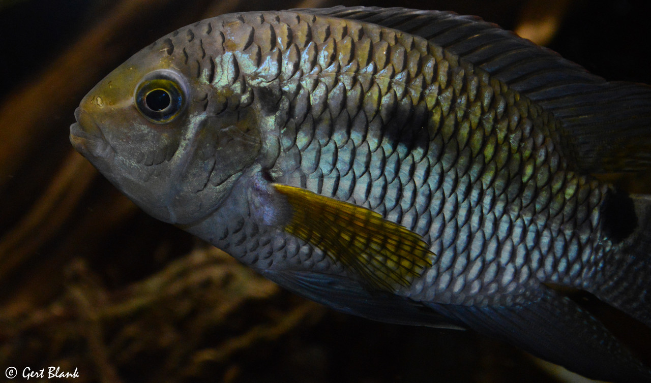 44E745EC-4CCC-4DD5-AC5A-89709C44FACB