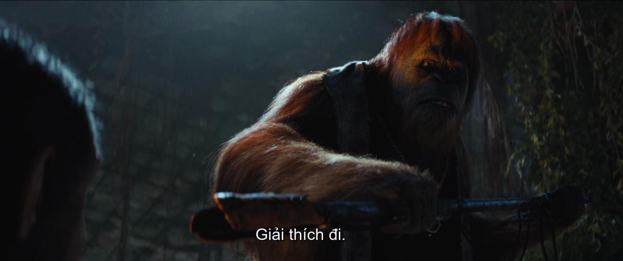 vlcsnap 2025 12 19 19h27m19s656