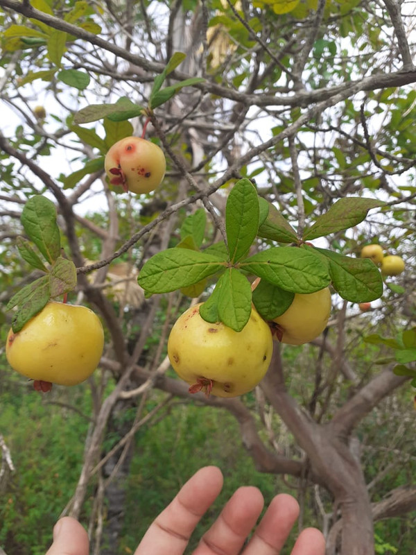 WhatsApp Image 2020-12-08 at 20.44.46 (10)