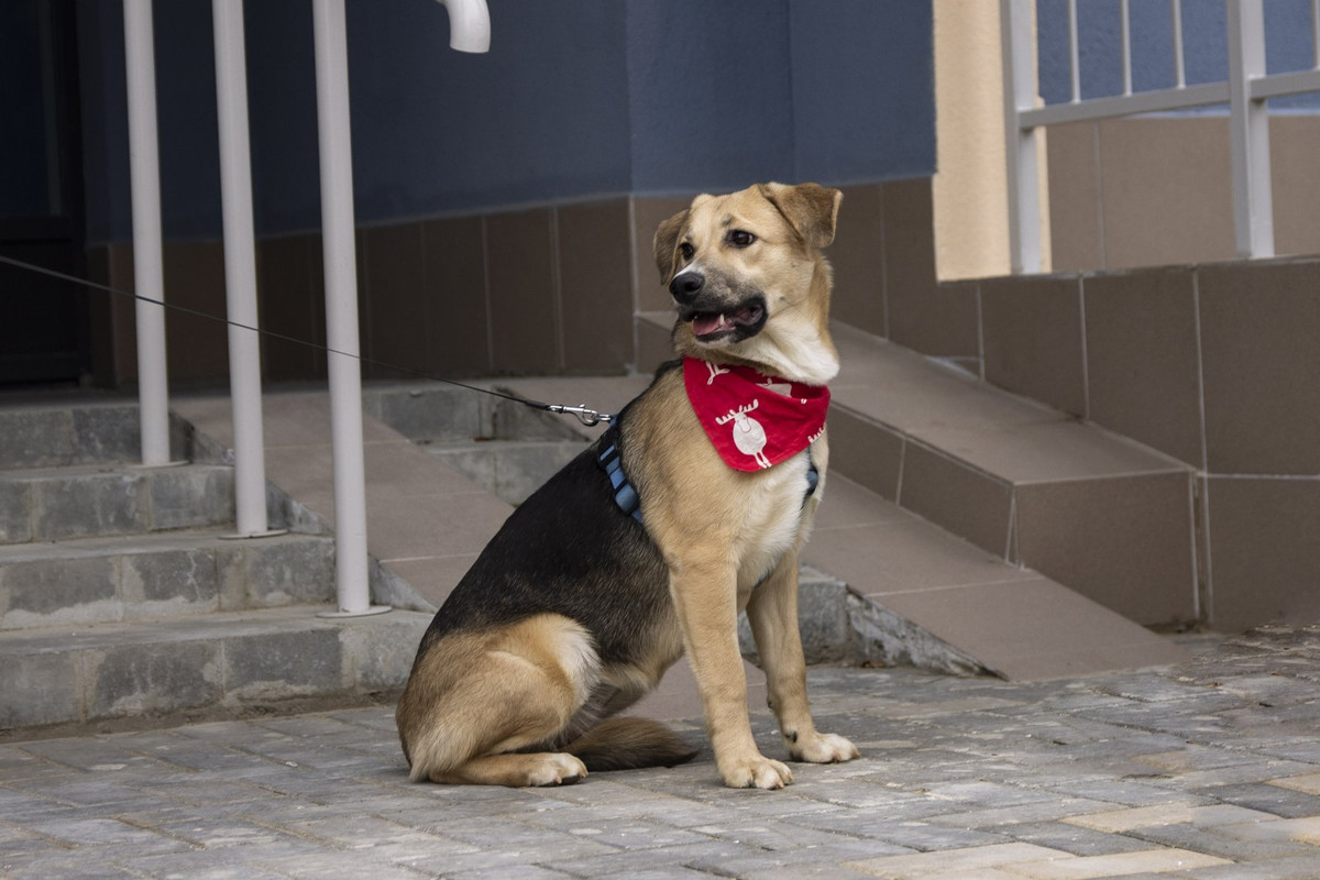 изображение_viber_2022-12-05_22-36-29-829