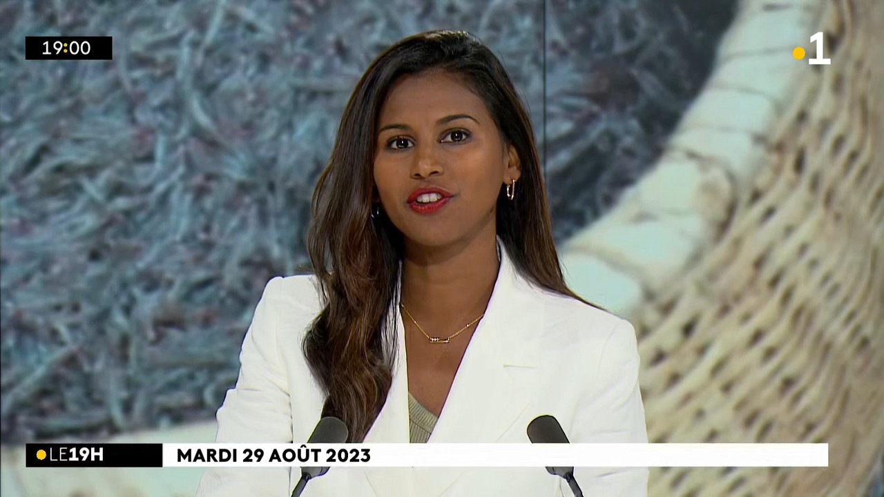 Le 19h Réunion - Édition du mardi 29 août 2023_La Première_2023_08_29_16_59.ts_snapshot_01.32.682