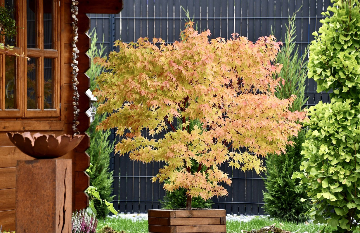 E7ED77C7-A105-4748-BC4E-E5A900FA0865_1_201_a