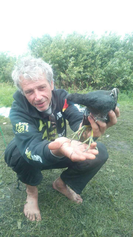 image-0-02-04-6b0287d8bfe2bf045e4056c34400c0c466