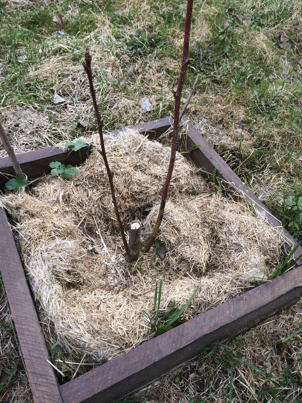 C855E4E0-A924-409B-83CA-F38ABF3F2AD9