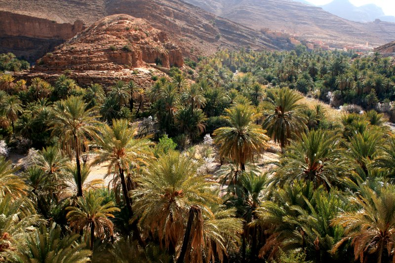 TAFRAOUTE. EL MARRUECOS PERDIDO, Ruta-Marruecos (14)