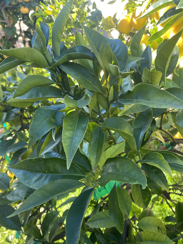 BB3FCCA3-C2C7-4507-BE7E-79541BF00C4F