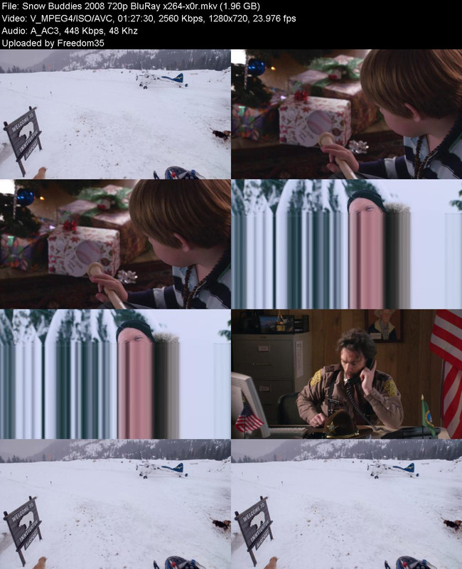 Snow-Buddies-2008-720p-Blu-Ray-x264-x0r.