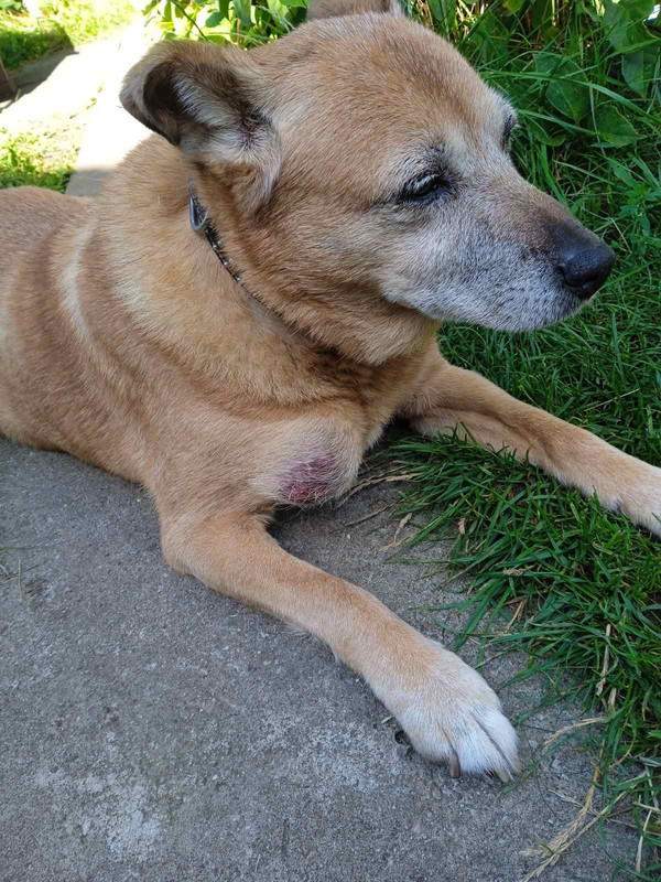 изображение_viber_2023-08-21_11-37-34-000