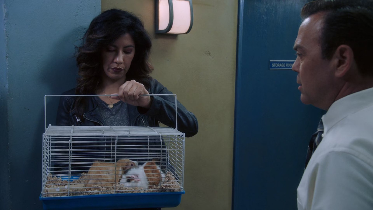 Brooklyn Nine-Nine (2013) S07E06 Trying (1080p AMZN WEB-DL x265 