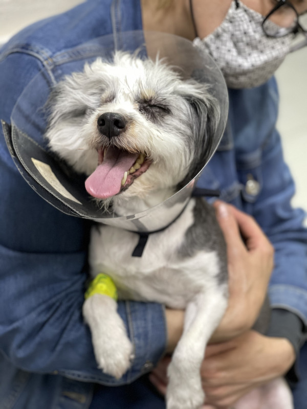 DAF77FFE-A52F-4058-A5C4-08898173BE9F