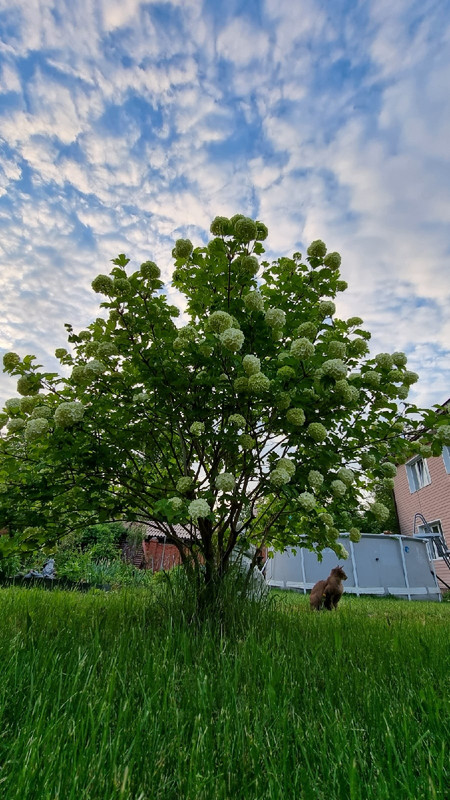 2BGuX6wTXcLD1CBer-iWN0NFmHRSkiOC2HBXLVzjYF_vKISc50fCuACElRz7aum2XsuFcD44j7lFCZiyVv_83YEs