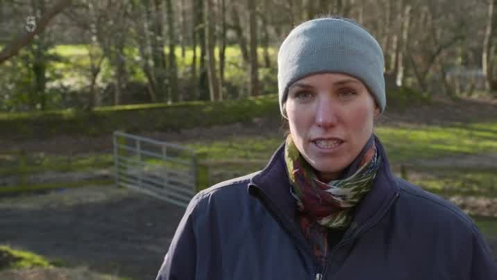 [Image: ly9msd8i21ip.jpg]