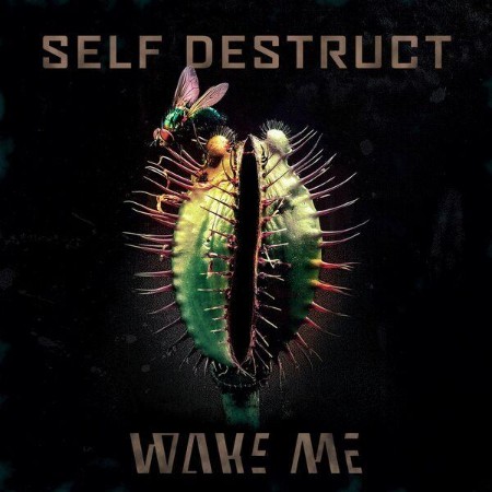 We Me - Self Destruct EP (2025)