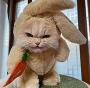 278674982_568901201291973_5305678822147685383_n