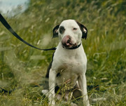 Screenshot_20230621_025901_Gallery