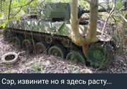 https://i.postimg.cc/TyB3tWLZ/photo-2026-08-31-01-10-49.jpg