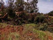 WhatsApp Image 2020-01-31 at 15.50.18 (7)